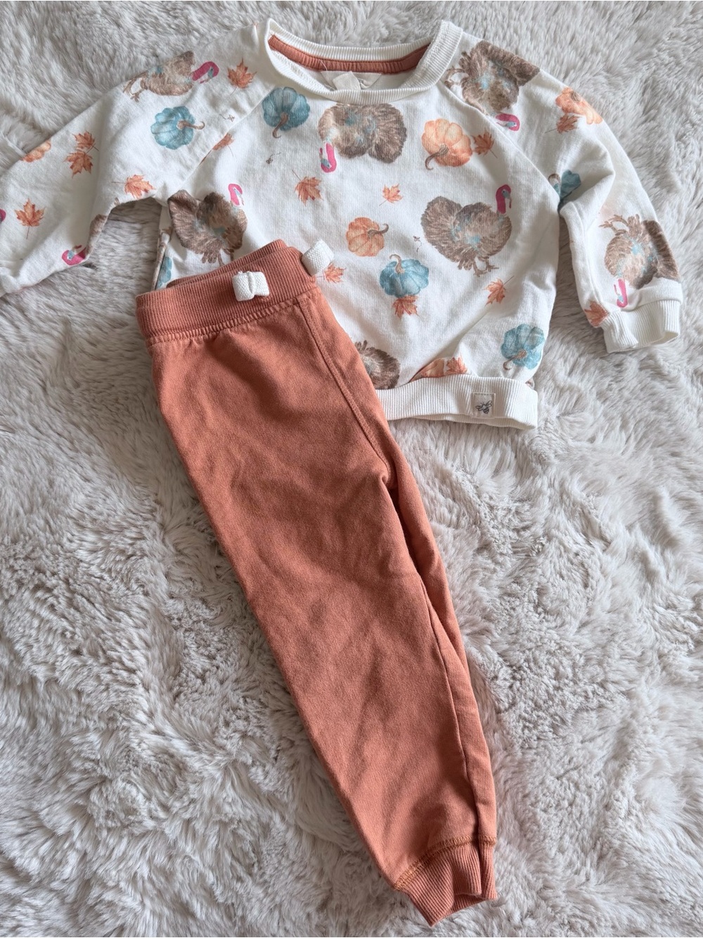 Burt’s Bee’s Baby Fall Outfit Size 12 Months